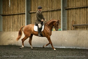 Isis Dressage Crown Farm Show 29th April 2012